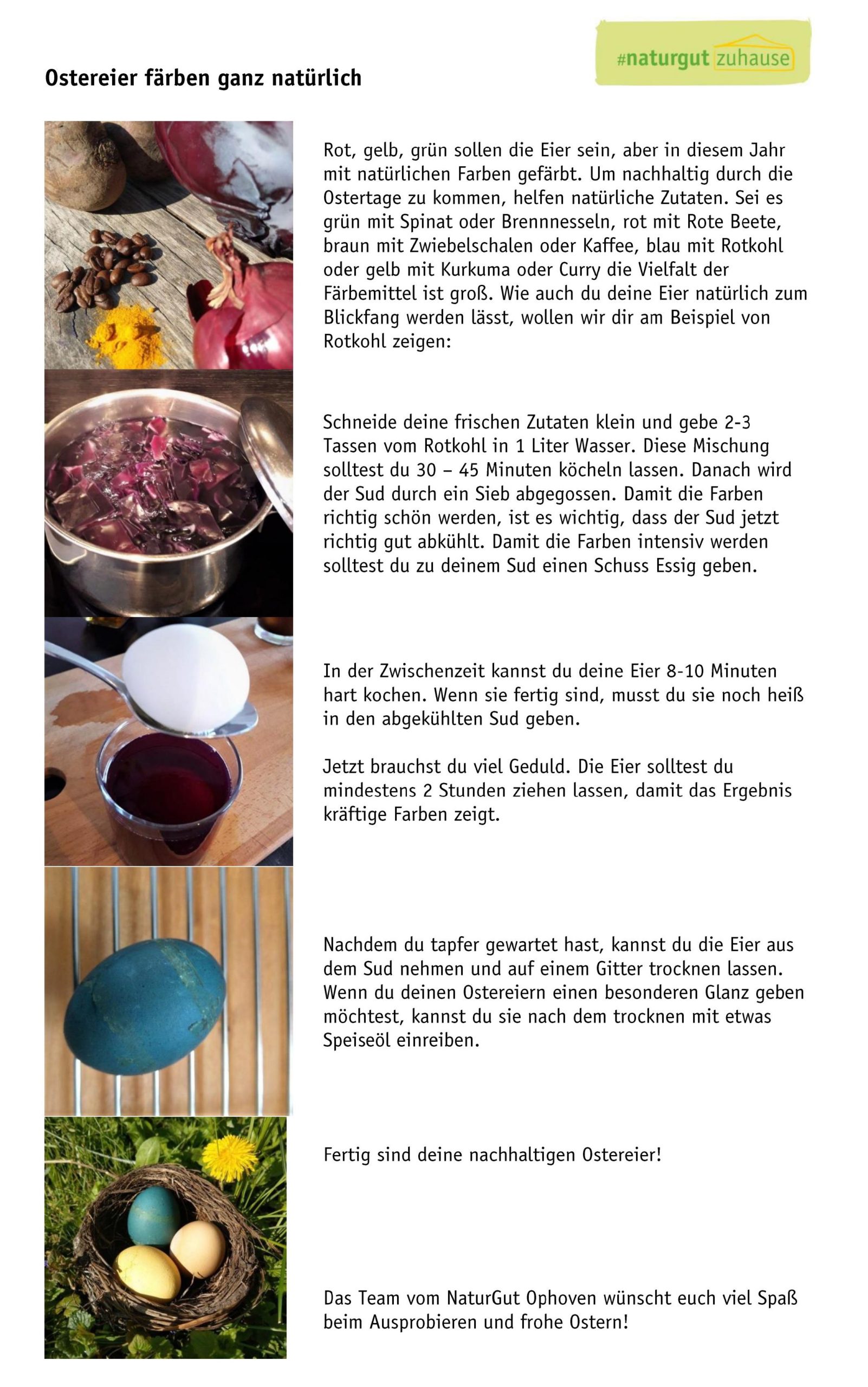 Anleitung Ostereier färben