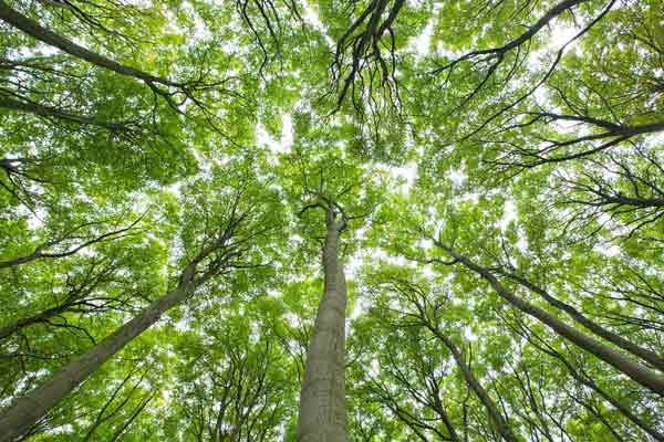Viel in der Natur erleben im neuen Jahr