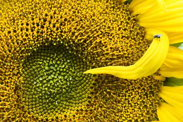 Schulstart in der Natur