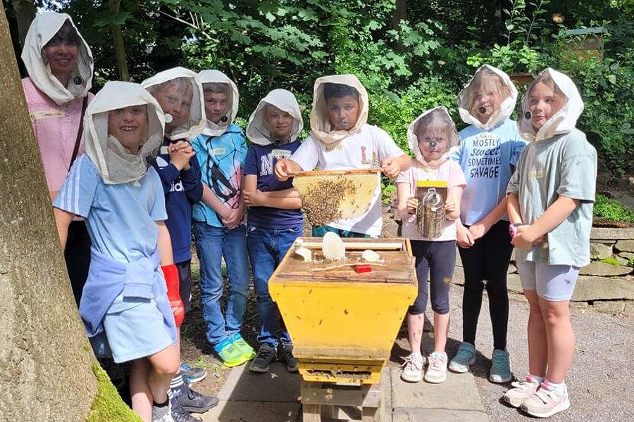 Schüler:innen helfen Frauen, Kindern und Bienen in Kamerun