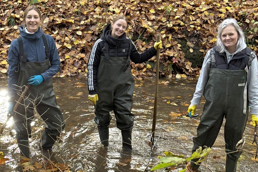 Unternehmen zeigen Engagement: Erfolgreiche Social Days auf dem NaturGut Ophoven