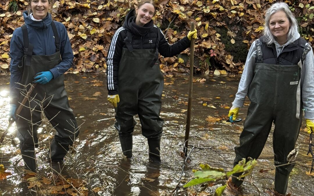 Unternehmen zeigen Engagement: Erfolgreiche Social Days auf dem NaturGut Ophoven